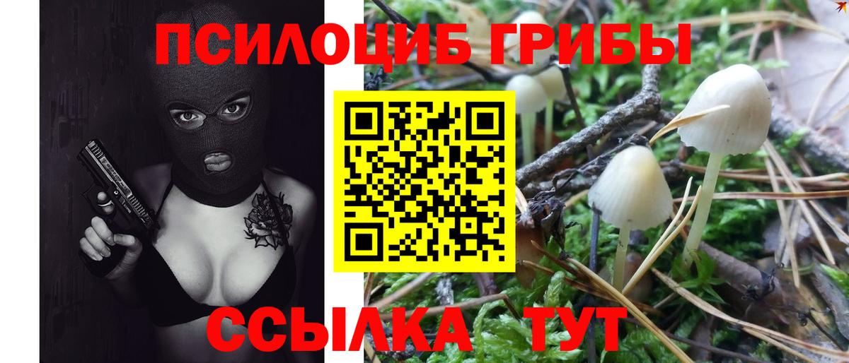 Галлюциногенные грибы прущие грибы  Псилоцибиновые грибы MAGIC MUSHROOMS  Осинники  Вход с VPN 